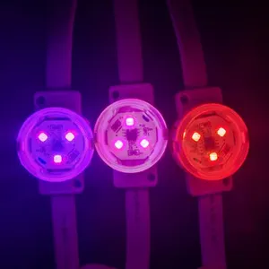 30mm Waterproof Ip65 SMD3535 24V RGB D30 Dot Light For Landscape Lamp thumbnail-2