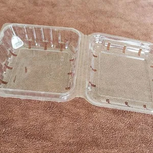 Disposable PET Transparent Food Box thumbnail-1