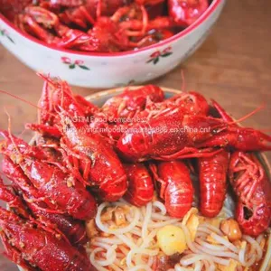 Crayfish Flavor Snail Noodle thumbnail-1