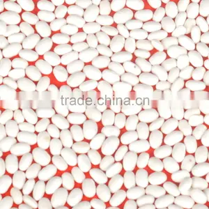 White Kidney Bean thumbnail-2