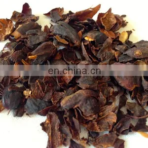 Cascara Tea /Coffee Cherry Tea thumbnail-3