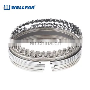 Wellfar 206 307 308 405 Engine Part Piston Ring 75mm 76.5mm for PEUGEOT Engine thumbnail-2