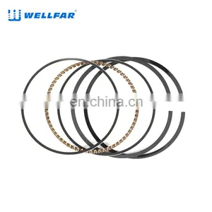 2M4790 Wellfar Ram 1500 Ram 2500 Durango Dakota Piston Rings For Gm 287cid (4.7l) Sohc Edv Engine thumbnail-1