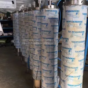 Customized Hot Springs in China Use High-temperature Resistant Deep Well Submersible PumpsCustomized Hot Springs in China Use High-temperature Resistant Deep Well Submersible Pumps thumbnail-2