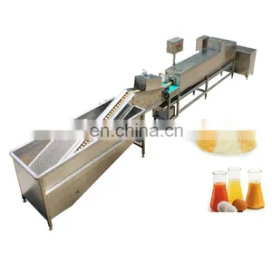 Turnkey Egg Whole Powder Egg White Yolk Powder Drying Equipment Making Machine Liquid Egg Production Plant Processing Line thumbnail-3