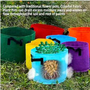 Fabric Grow Bags With Handles for Easy Transport thumbnail-3