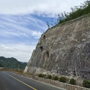 Zinc-Aluminum Alloy Coated Slope Protection Netting 2.7mm Wire, 50x80mm Mesh, Salt Spray Test 1000h thumbnail-5
