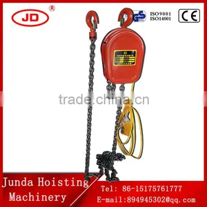 Low Price DHS Series 3TON Electric Chain Hoist Factory Price Hoist thumbnail-1