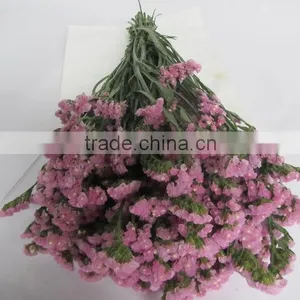 Colorful Hot Sale Decorative Supplies Myosotis thumbnail-5