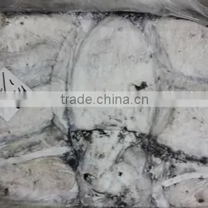 Frozen Cuttle Fish thumbnail-5