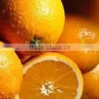 Orange Oil Extracted From Orange Peel thumbnail-6