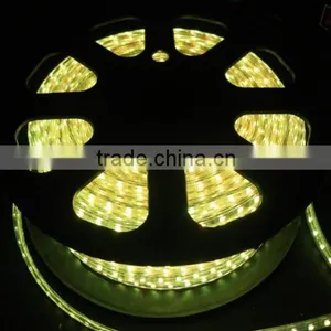 SMD2835 LED Strip Light Waterproof IP65 thumbnail-1