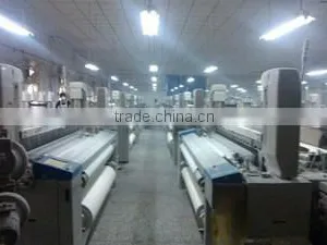 Dongguan Zhuosheng Textile Co., Limited company overview - view 2 thumbnail