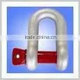 D Ring Shackle thumbnail-2