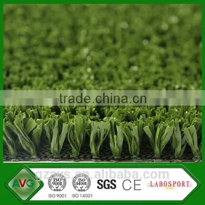 Volleyball Grass thumbnail-4