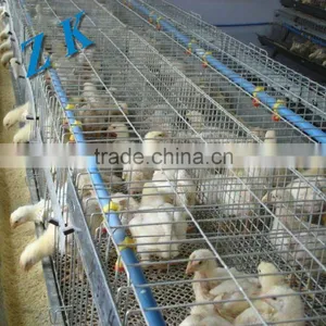 Automatic Water for Chicken Cage , Laying Hen ,chick Material is Galvanized Wire thumbnail-1
