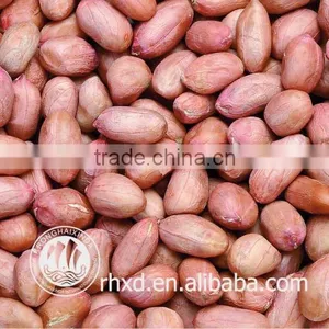 Roasted Peanut in Shells thumbnail-1
