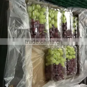Fresh Green Grapes thumbnail-1
