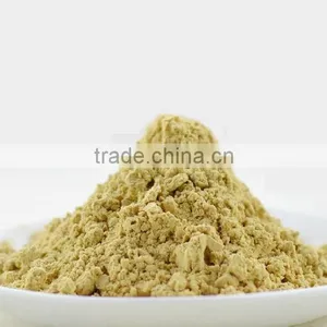 Chinese Natural Vegetable Ginger Extract Powder thumbnail-1