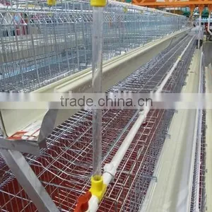 Anping Factory Chicken Egg Laying Cage for Farm thumbnail-2