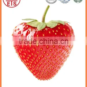 For Sale High Quality Whole Fresh Strawberry thumbnail-1