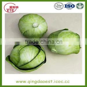 Chinese Hot Sale Fresh Cabbage With High Quality thumbnail-5