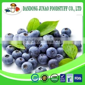 Frozen Blueberry Grade A thumbnail-1