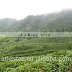 China Orgainc Black Tea thumbnail-3