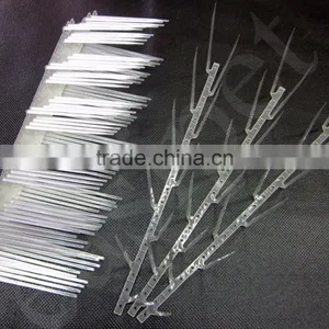 Bird Pigeon Plastic Spikes Anti Birds Control thumbnail-1