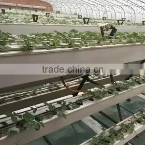 Hydroponic Gutter With Food Grade thumbnail-2