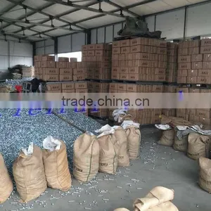 2017 ROOFING NAIL 10BWGX2.5'' AGENT for Nigeria Market thumbnail-3