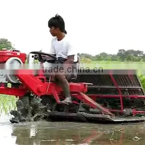175F India Riding Type 238mm 8Rows Rice Transplanter With Cheap Rice Transplanter Price thumbnail-6