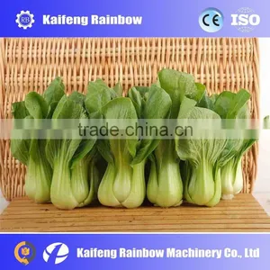 Efficient Energy Security Clean Turnover Washing Machine/ Vegetable Washing Machine thumbnail-3