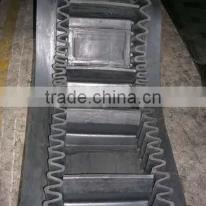 Chain Conveyer thumbnail-1