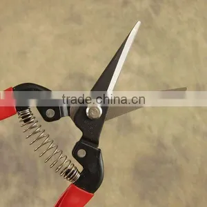 Grape Scissors thumbnail-1