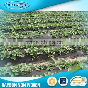 17~70g/m2 Biodegradable Weed Control PP Non Woven Weed Mat thumbnail-4
