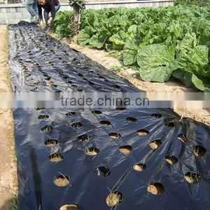 Plastic Agricultural Perforated Film With Holes for Seeding Growth thumbnail-1