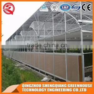 Multifunction Plastic Film Greenhouse for Vegetables Planting,flowers,culture thumbnail-6
