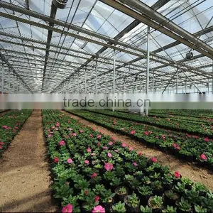The Sunlight Greenhouse for Flowers thumbnail-2