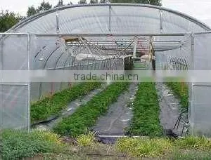 Natural Color Gricultural PE Film thumbnail-1