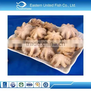 Seafood IQF Frozen Baby Octopus Exporters thumbnail-1