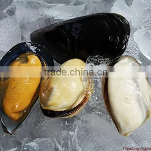Mussel in Shell thumbnail-1
