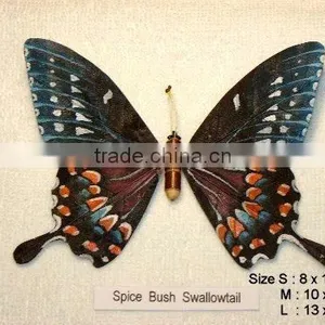 Realistic Handmade Handpainted Butterflies Collectibles (made of Rubber Leafs) thumbnail-1