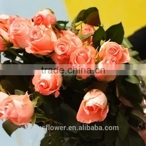 Good Petals Fresh Roses Natural Rose Kenya for Parties thumbnail-1