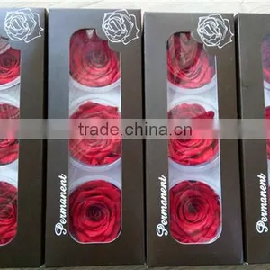Everlasting Rose A Grade 6 to 7 cm Preserved Rose From Yunnan thumbnail-2