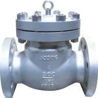Cast Steel Check Valve thumbnail-1