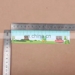 Custom 15cm 30cm PVC PP Flexible Plastic Ruler thumbnail-6