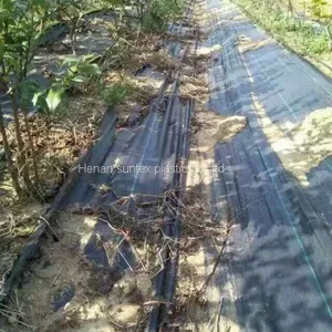 Garlic and Onion PP Woven Weed Control Mat,plastic Ground Cover Black Weed Kill Fabric,100gsm Anti Grass Gardening Mat thumbnail-5