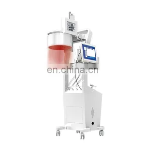 Factory Supply Hair Regrowth Therapy Red Light Led Therapy Machine Anti Hair Loss Physical Therapy Machine thumbnail-1