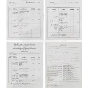 Test Report-ZW-1